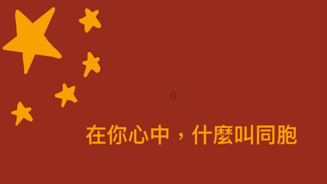 中国小动物保护协会直播分享两只被救助的猫咪状态