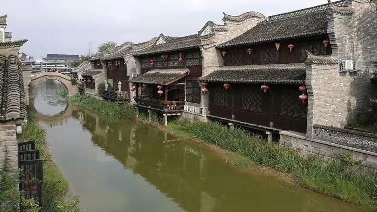 《可怜的东西》：重塑弗兰肯斯坦，女性觉醒的奇幻之旅